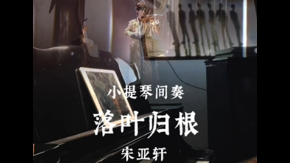宋亚轩《落叶归根·小提琴间奏》