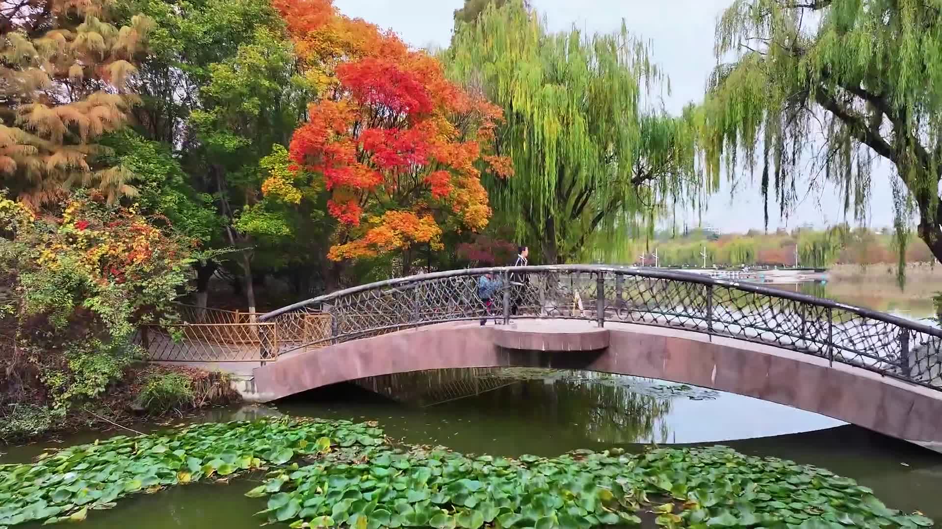 青岛奥林匹克雕塑文化园:入眼成画 初冬美景正当时哔哩哔哩bilibili