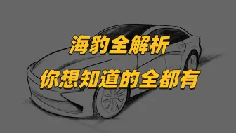 海豹全解读：比亚迪现象级产品，你想知道的全都有