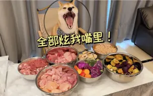 Download Video: 十一个月的柴犬胃口那么大？自制狗饭天天炫