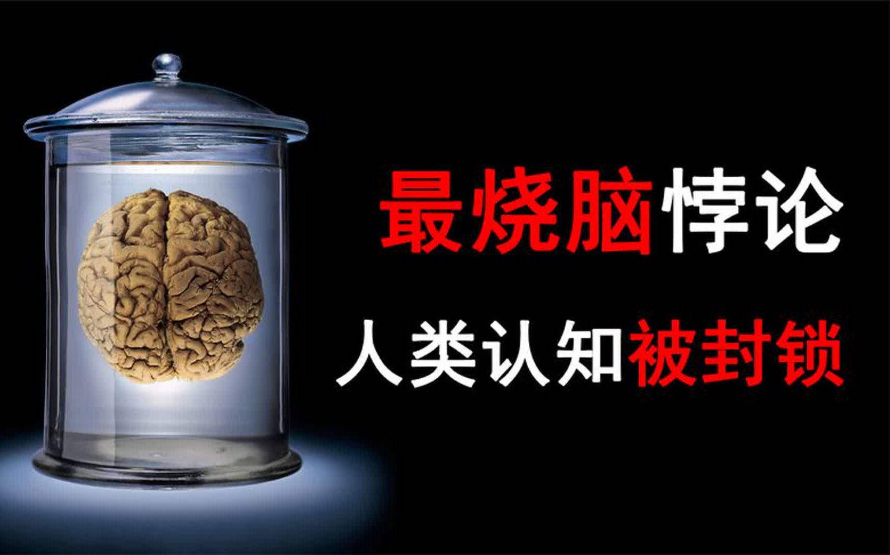 最烧脑悖论!人类认知被封锁?夜间倍增悖论!哔哩哔哩bilibili