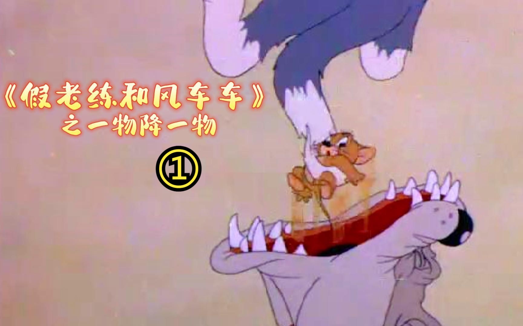 假老练又在欺负风车车了!