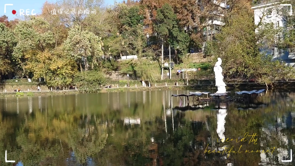 景德镇莲花塘
