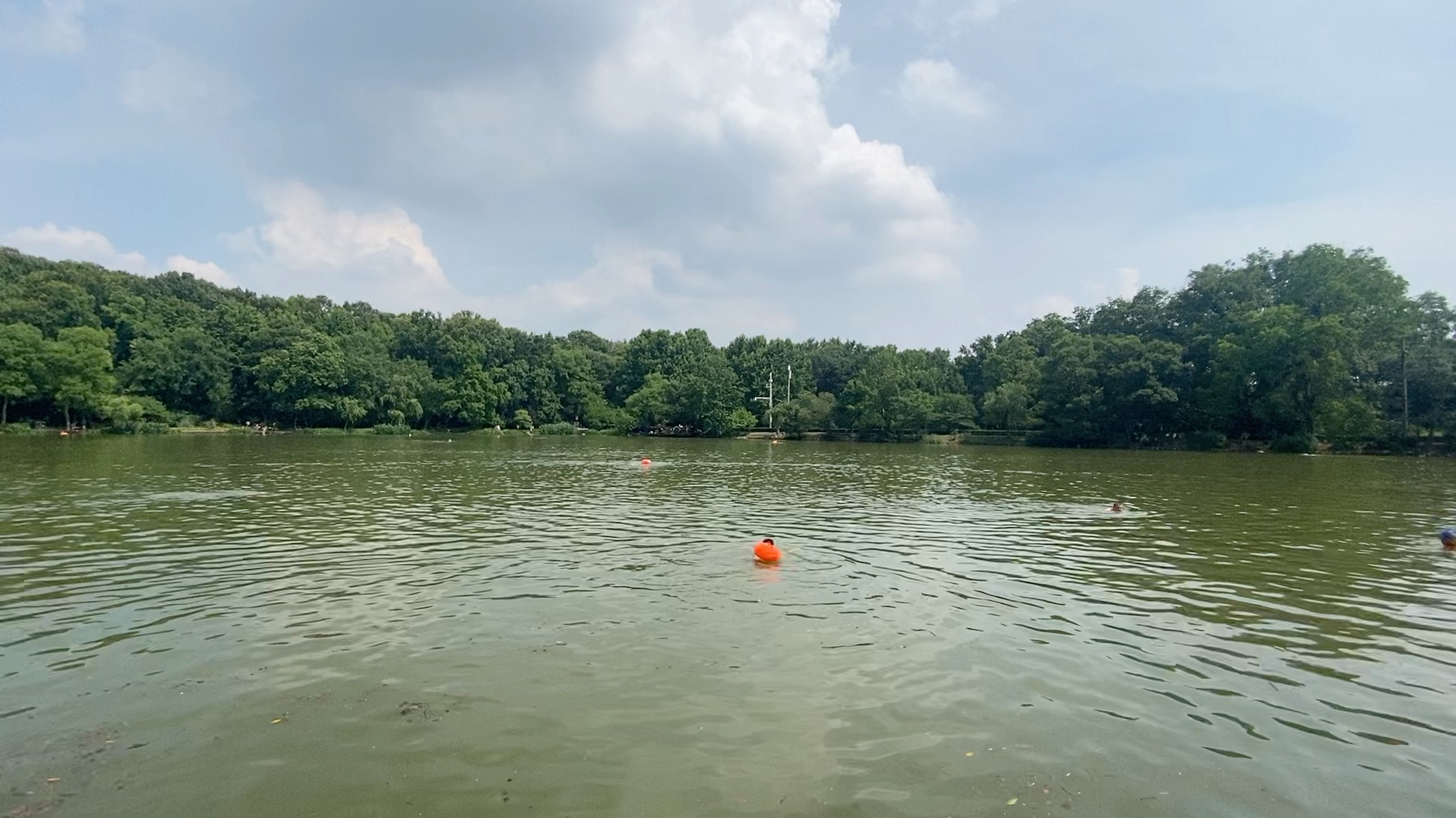 南京紫霞湖—游泳初学者