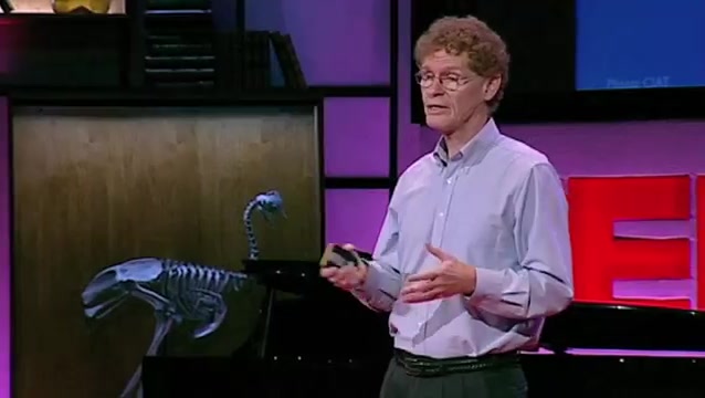 [图]【TED】一次一粒种子，保护食物的未来 _ Cary Fowler