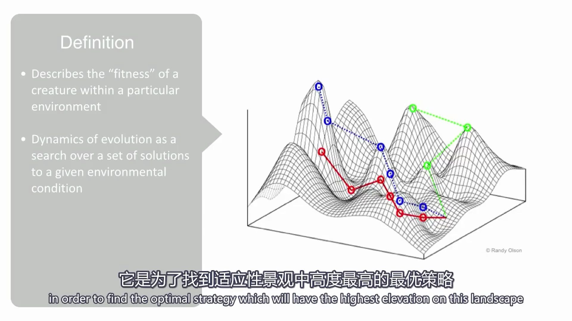 适应度景观哔哩哔哩bilibili