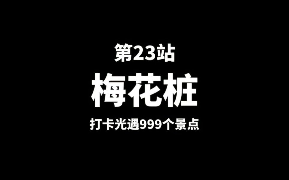 第23站【梅花桩】还记得以前粉色的梅花桩吗光ⷩ‡