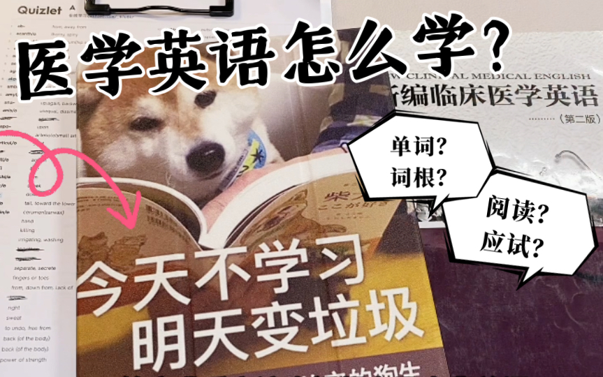 熟悉2000+医学专业英语单词?本科生的学习小心得