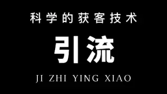 Descargar video: 精准引流的方法