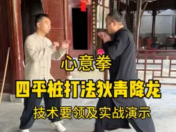 Download Video: 心意拳四平桩打法（狄青降龙）技术要领及实战演示#内家拳 #国术 #实用拳法 #修身养性