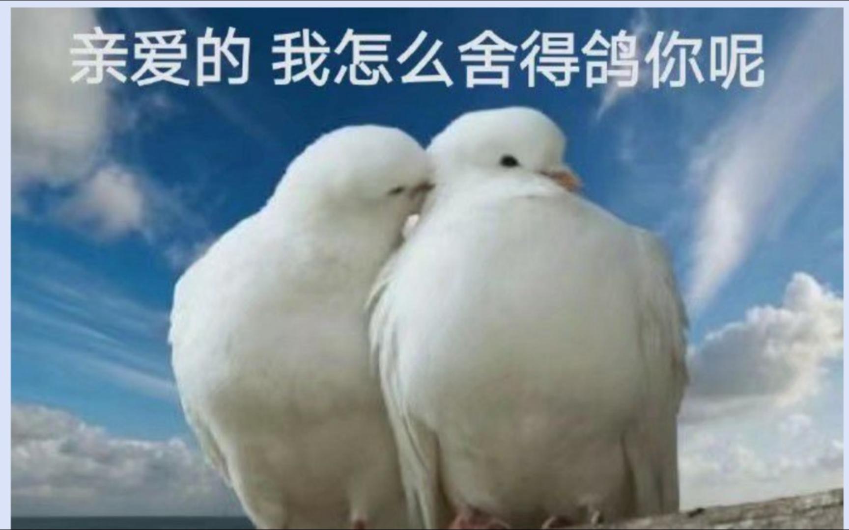 咕咕咕咕哔哩哔哩bilibili