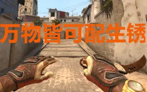 Download Video: 【CSGO】万物皆可配生锈 之老虎精英