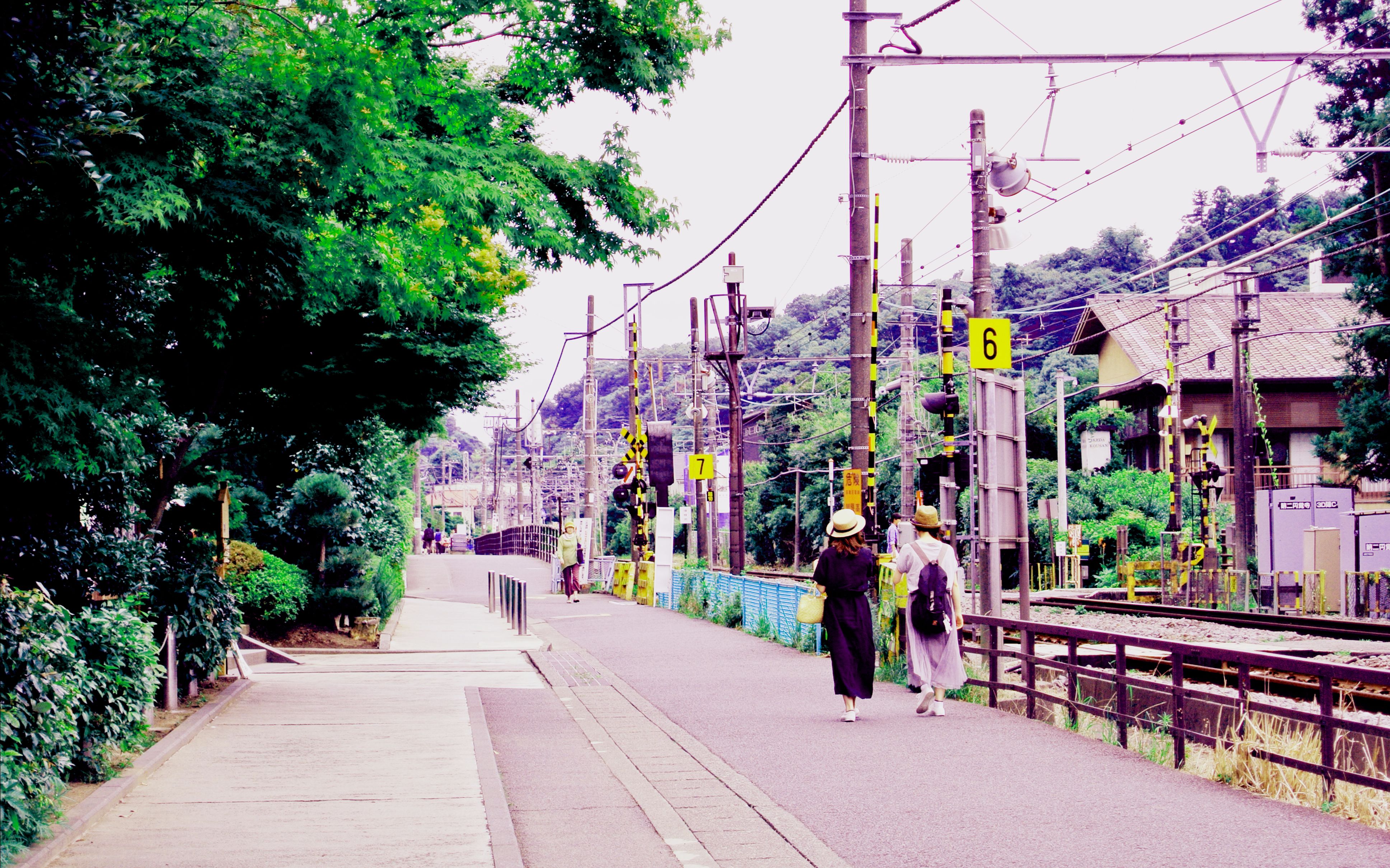 【日本旅行】夏天玩玩玩