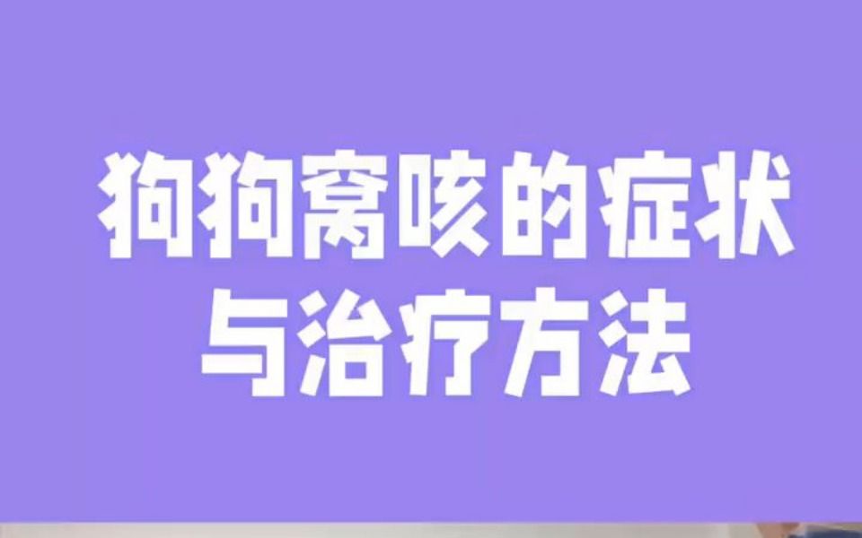 狗狗窝咳的症状与预防方法哔哩哔哩bilibili