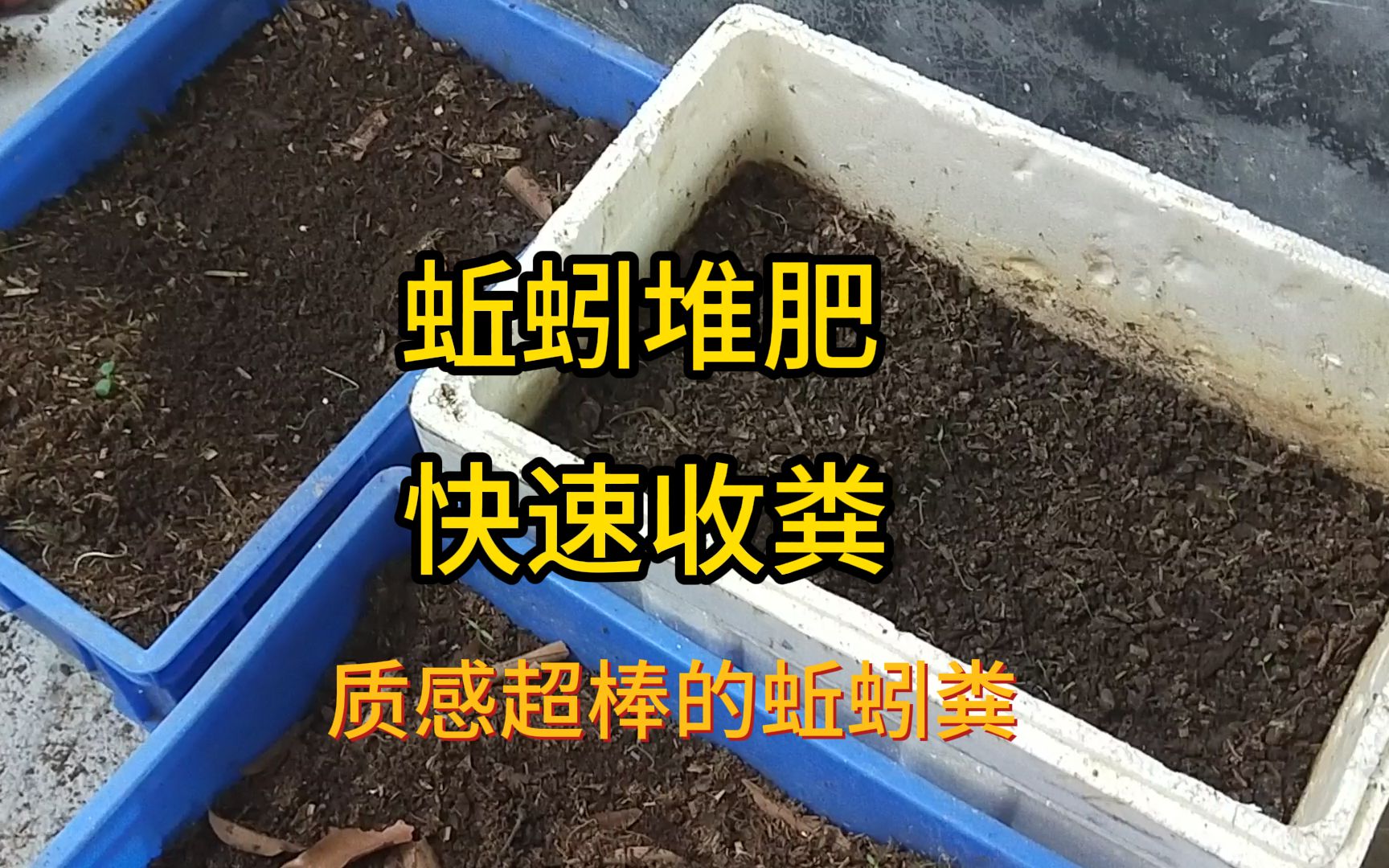 蚯蚓堆肥,快速收粪,质感不错的蚯蚓粪.哔哩哔哩bilibili