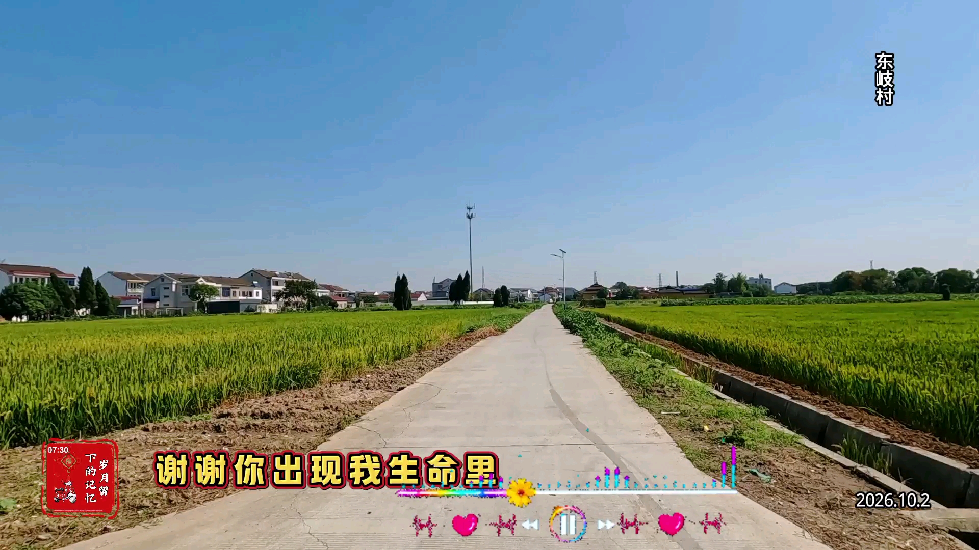今日的江阴乡村