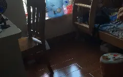 用镇楼神曲炸楼