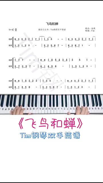 《飞鸟和蝉》钢琴双手简谱