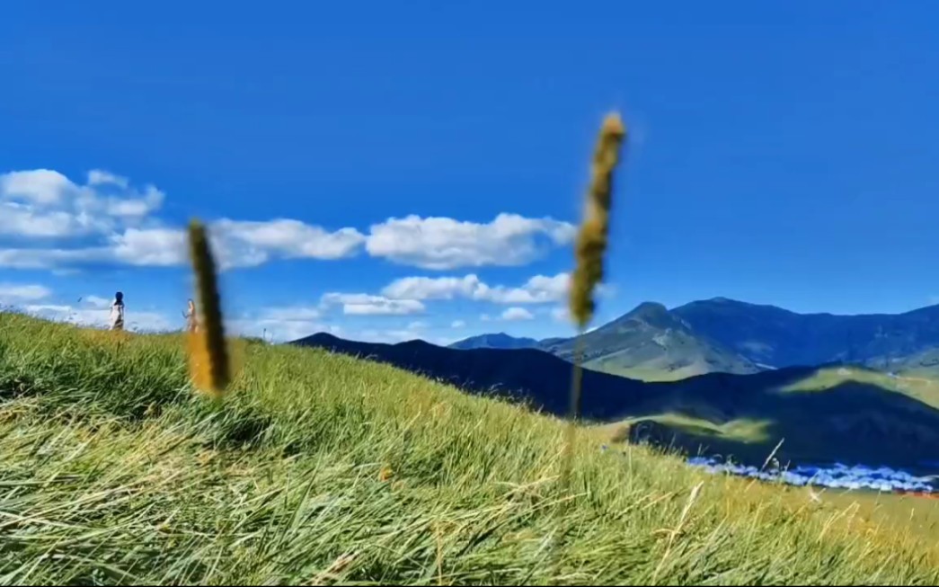 [图]扎鲁特旗军马场山地草原