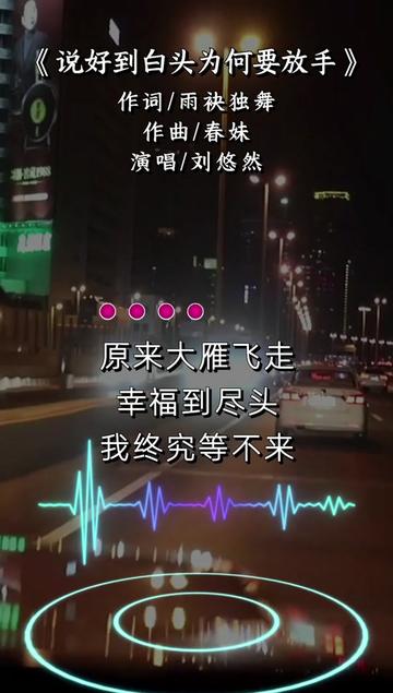 刘悠然作品【说好到白头为何要放手】伤感歌曲哔哩哔哩bilibili