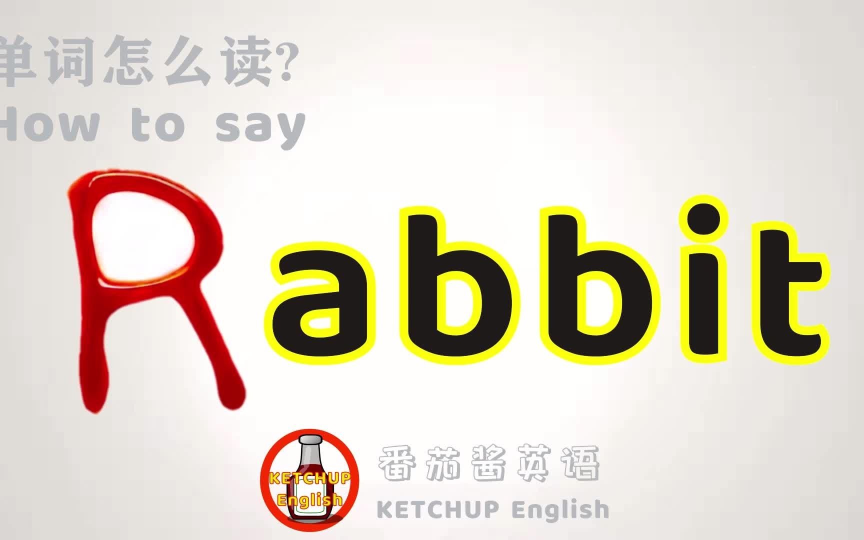 外教发音|How To Pronounce Rabbit【兔子】怎么读?|每天学单词背单词哔哩哔哩bilibili