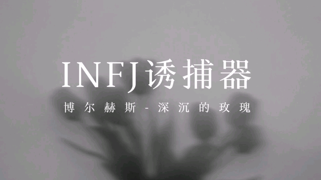 让infj心动的诗博尔赫斯|我成了在屋子里雕砌文字的人哔哩哔哩bilibili