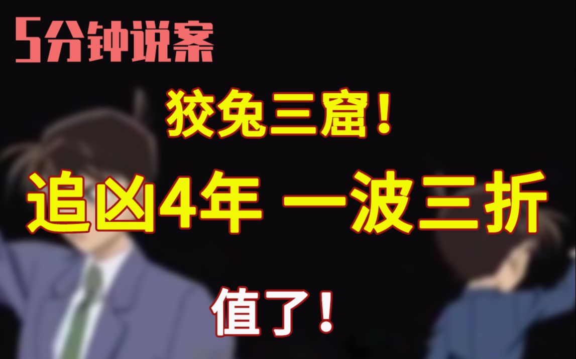 【5分钟说案】狡兔三窟!追凶近4年 一波三折 值了!今日说法之假面真凶哔哩哔哩bilibili