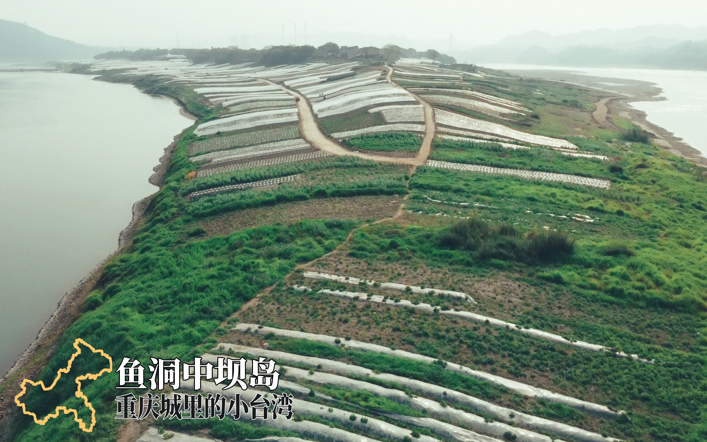 重庆风物志:鱼洞中坝岛,重庆城里的小台湾哔哩哔哩bilibili