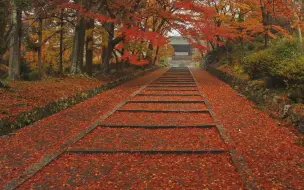 4k 壁纸向 京都の四季 风景写真集 17 18 Beautifulkyoto 哔哩哔哩 つロ干杯 Bilibili