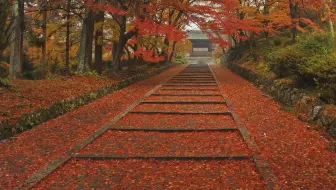 17 京都的红叶 洛东 南禅寺 哔哩哔哩 Bilibili