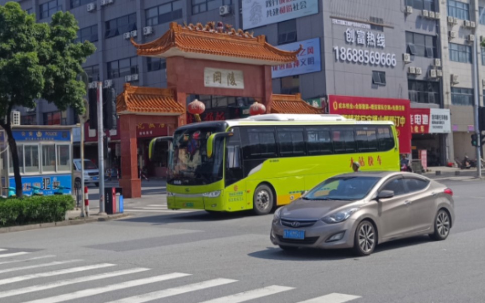 【一路向北去省城】【中山公交】k981路陵岗-蕉门公交总站区间版pov