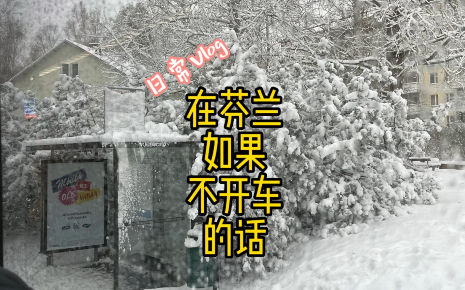 在暴雪时分!哈哈!在芬兰没有车的冬天真是很惨!哔哩哔哩bilibili