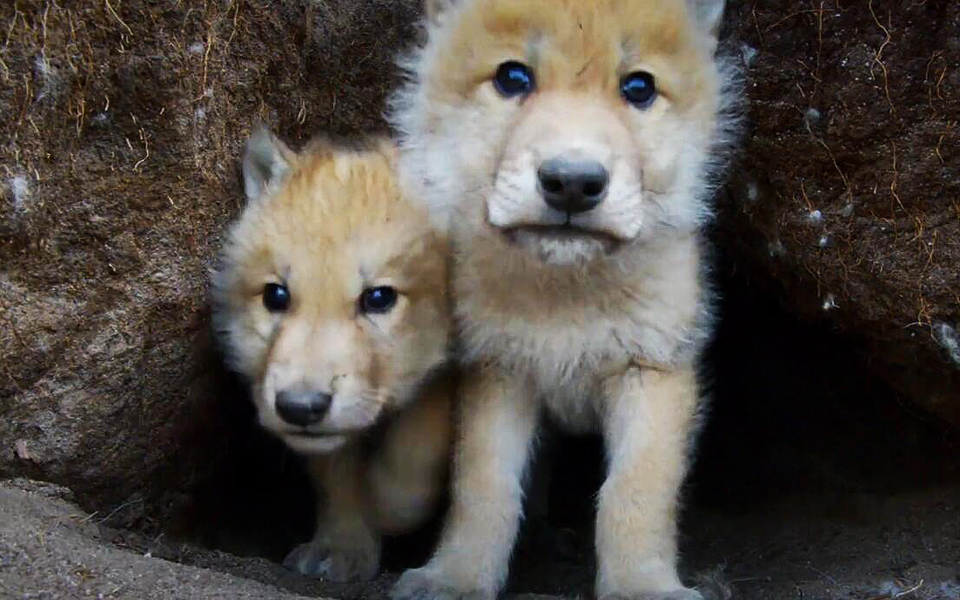 bbcnhu创新的60年第10集不走寻常路