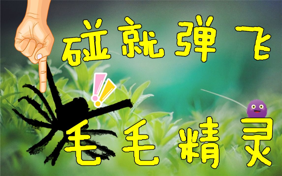 物种分享丨广翅蜡蝉丨一碰就不见的“毛毛”精灵哔哩哔哩bilibili