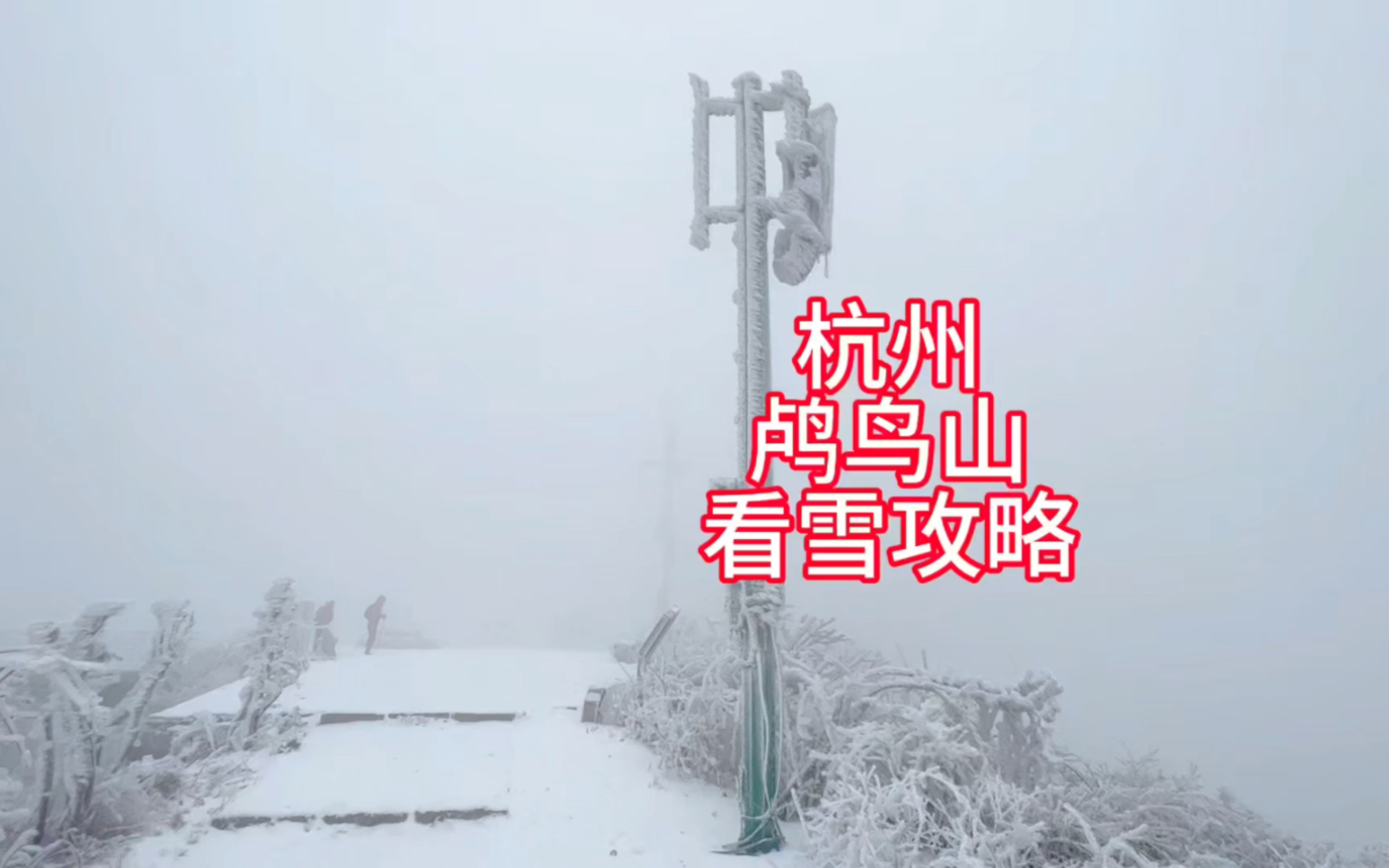 杭州鸬鸟山看雪景雾松攻略哔哩哔哩bilibili