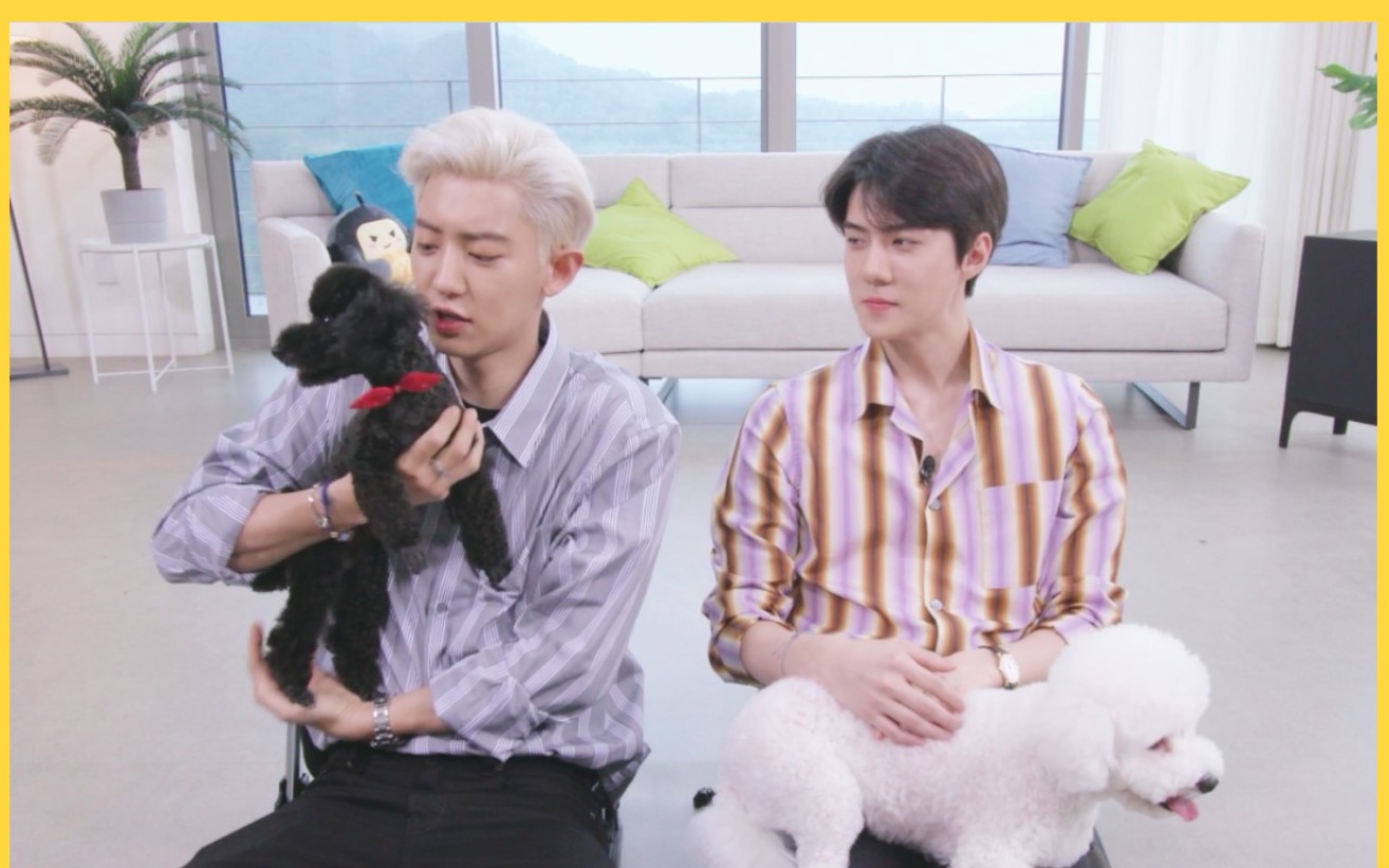 朴灿烈吴世勋exo–sc小分队综艺190713mylittletelevisionv21080p生肉