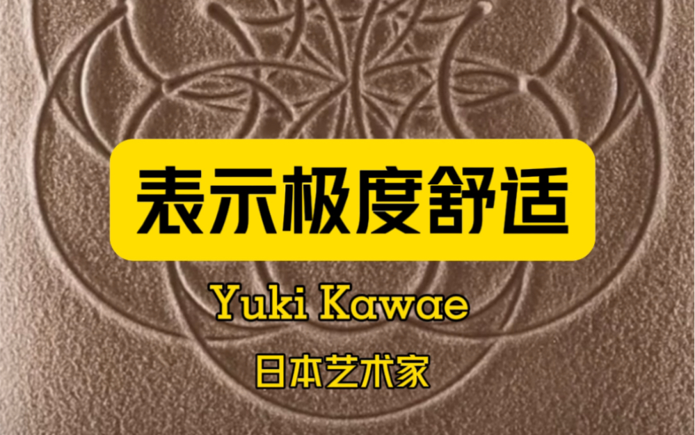 表示极度舒适 Yuki Kawae 日本艺术家哔哩哔哩bilibili