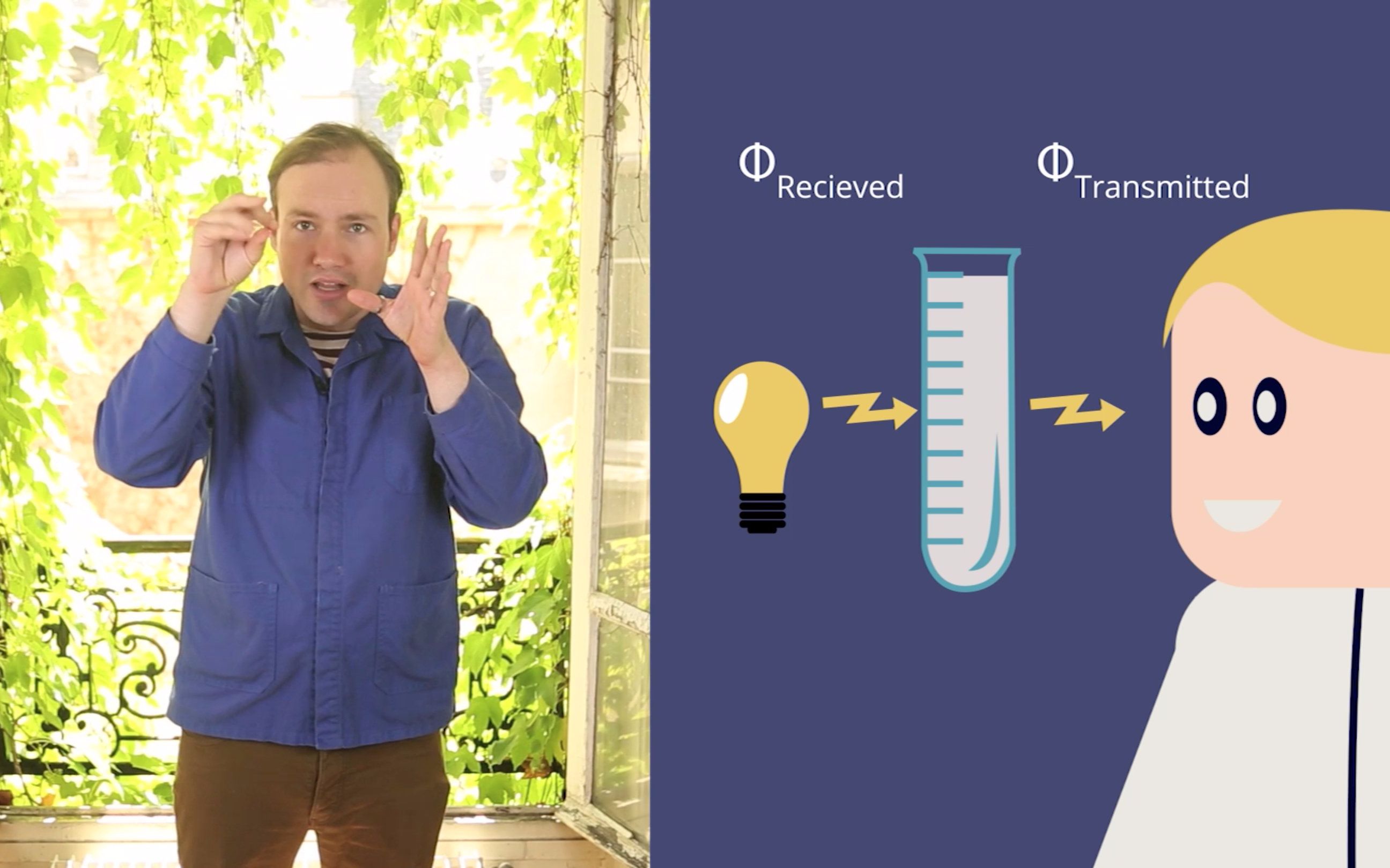 measuring bacterial growth by optical density