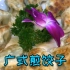 厨师长分享一道“广式煎饺”早茶必备的糕点，制作非常简单，再也不用出去吃了