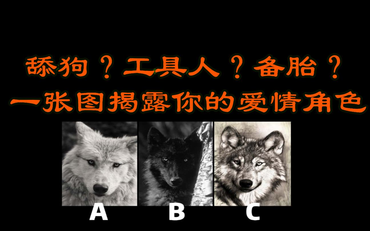 【互动视频】舔狗?工具人?备胎?一张图测试你的爱情角色