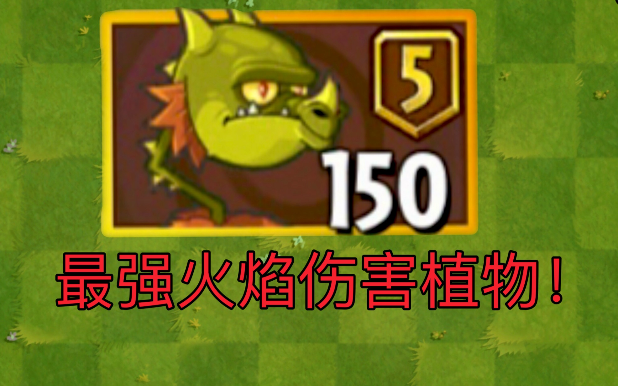 5阶火龙草测评,5阶质变!