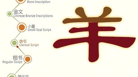 汉字演变 羊 腾讯视频1 哔哩哔哩 汉字演变 羊 腾讯视频1 哔哩哔哩
