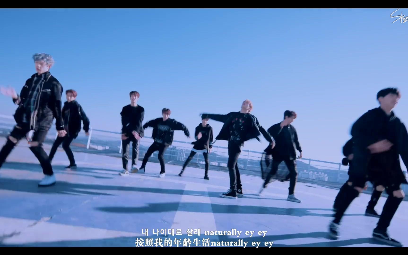 [图]【SKZ中首48字幕组】[Stray Kids]年幼的翅膀(Spread My Wings) MV中字