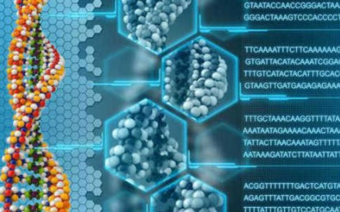 [图]华中农业大学-分子生物学（国家级精品课）