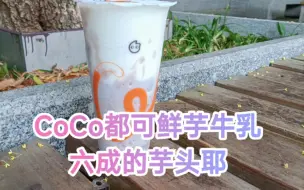 Descargar video: CoCo都可鲜芋牛乳:六成芋头耶