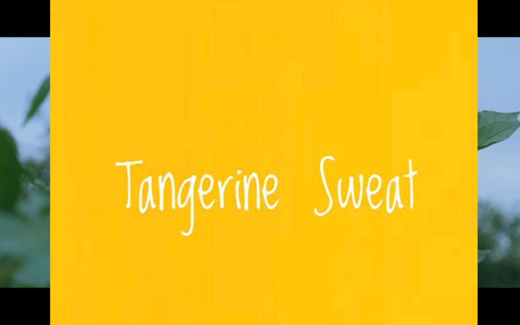 [图]tangerine sweat/让我们走到最后/I dreamed it all ever since I was young