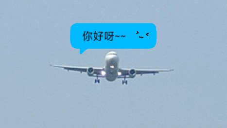 【原声】金鹏航空737稳稳降落在南京禄口国际机场哔哩哔哩bilibili