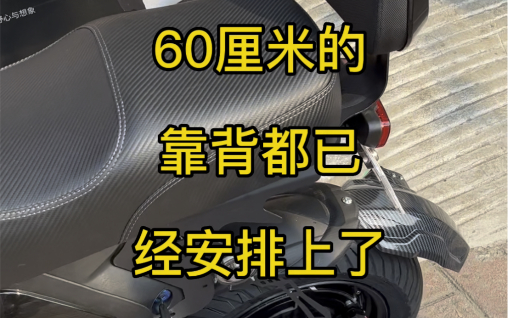 60厘米长坐包哔哩哔哩bilibili