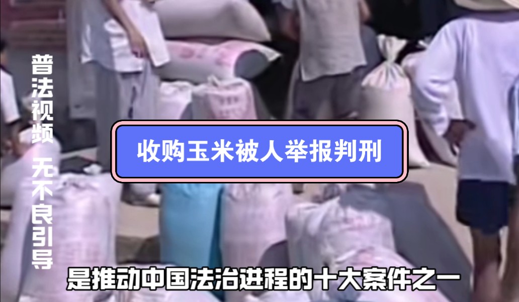 推动中国法治进程的十大案件之一,王立军收购玉米案,被人举报无证收购,被判刑一年罚款二万哔哩哔哩bilibili