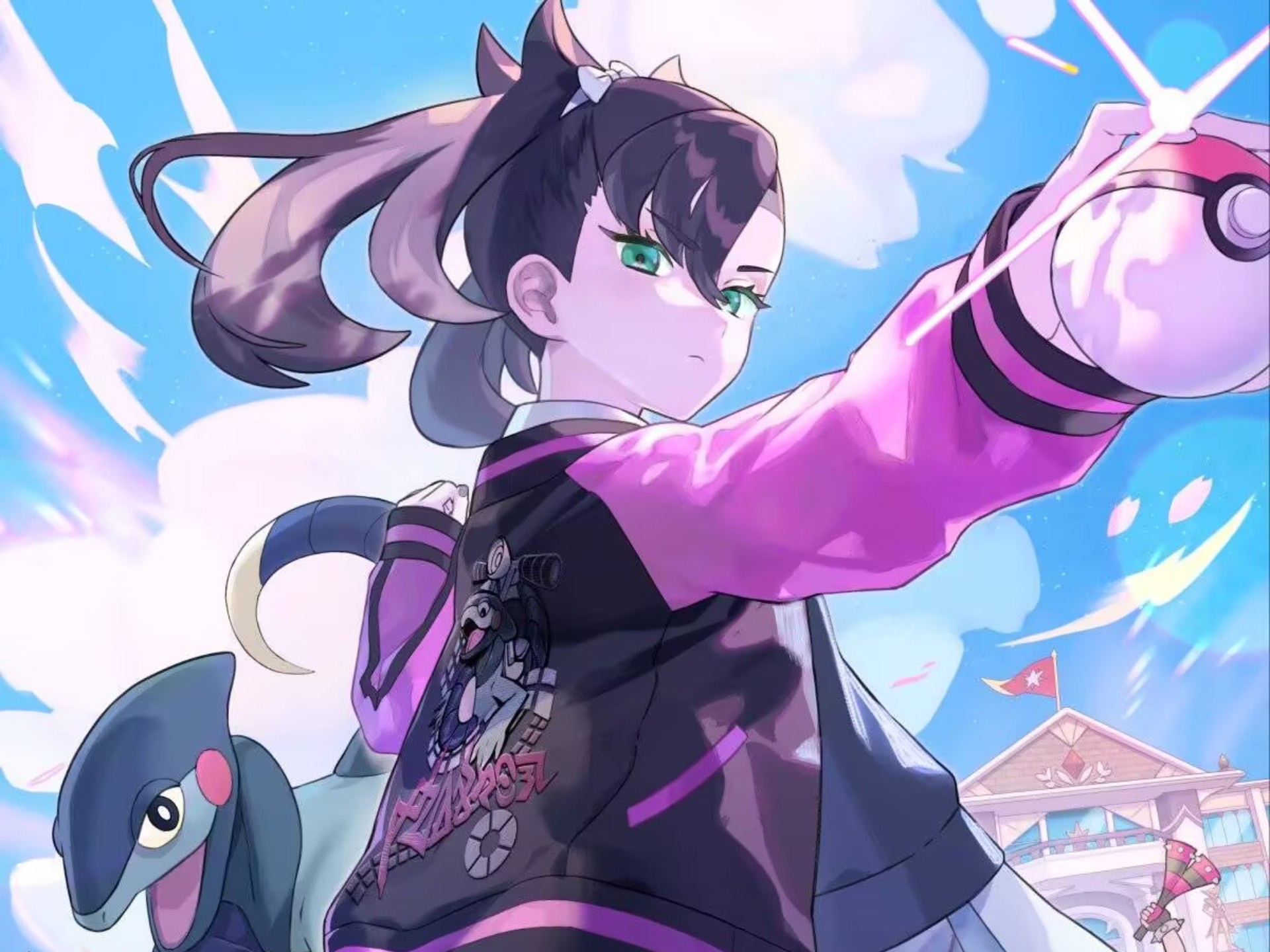 宝可梦大师ex 恶系单桩243万分